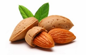 每天5粒nuts增強腦記憶力，我就愛吃杏仁或合桃，含豐富維他命E、硒等抗氧化物，最好選擇原味不添加糖或鹽啦！